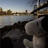 a1ayna_sn00py